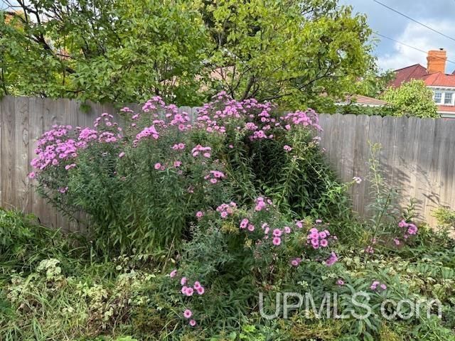 118 S Fifth Street, Crystal Falls, MI 49920