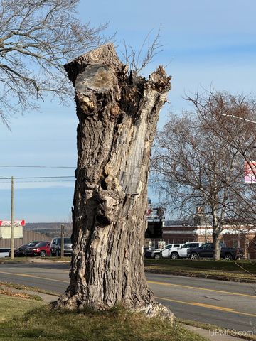 118 S Fifth Street, Crystal Falls, MI 49920