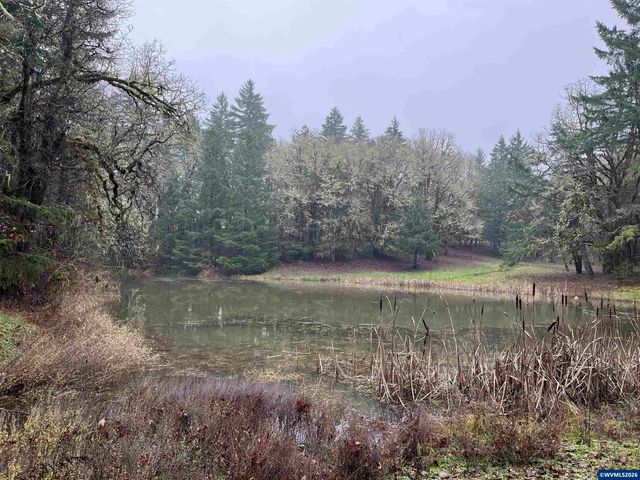 375 Pioneer Rd, Dallas, OR 97338