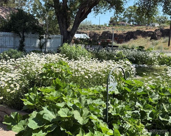 514 S Division Street, Odessa, WA 99159