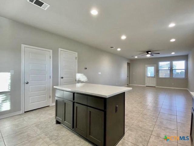 2309 Pecan Island Drive, Leander, TX 78641