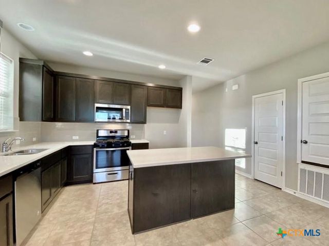 2309 Pecan Island Drive, Leander, TX 78641