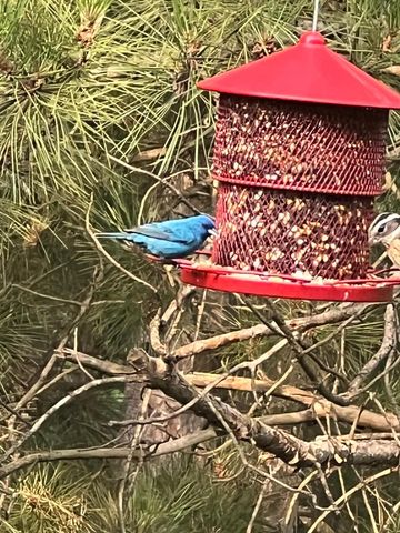 21873 Drake Street NW, Oak Grove, MN 55011