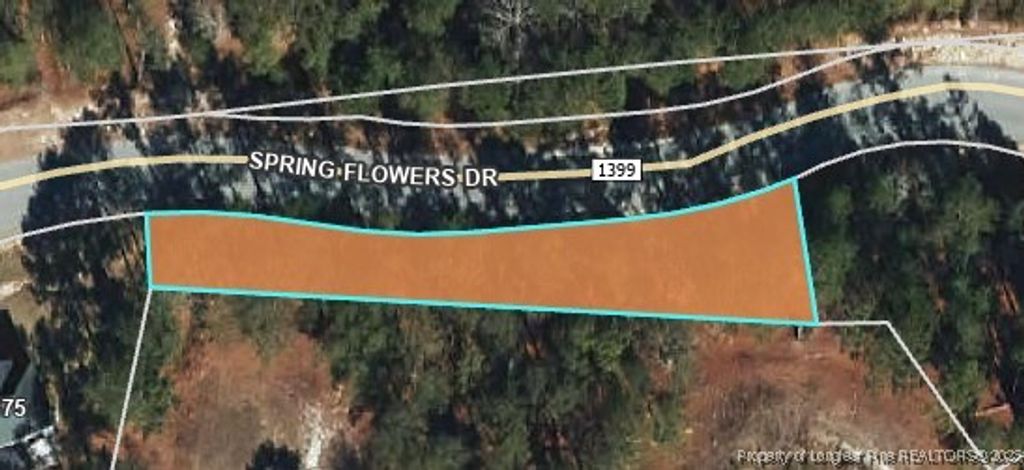 Spring Flowers Drive, Cameron, NC 28326