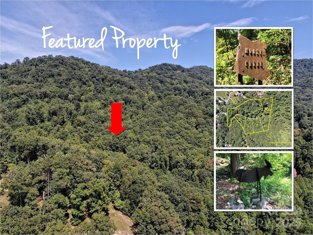 Lots 1-8 Erwin Lane, Waynesville, NC 28785