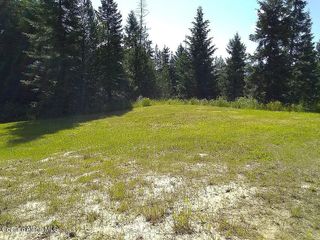 575 E Watertower Rd, St. Maries, ID 83861