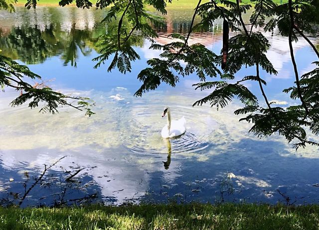 1395 NW 155th Ln, Pembroke Pines, FL 33028