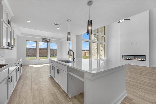 25215 Aster Hills Lane, Katy, TX 77493