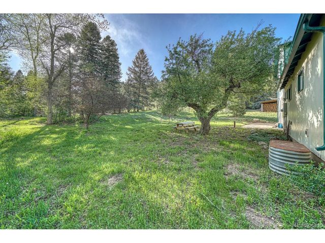 21303 Hwy 96, Wetmore, CO 81253