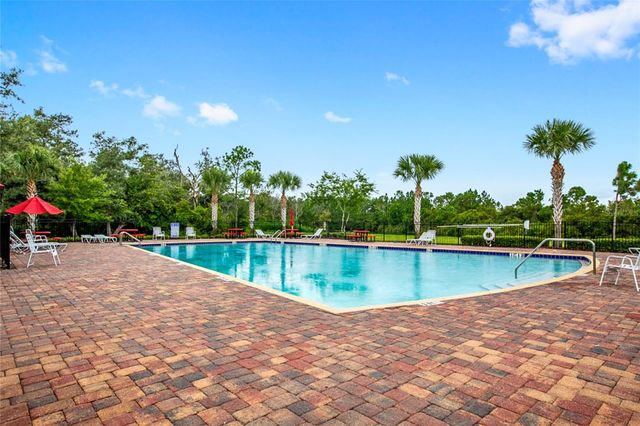 16141 YELLOWEYED DRIVE, Clermont, FL 34714