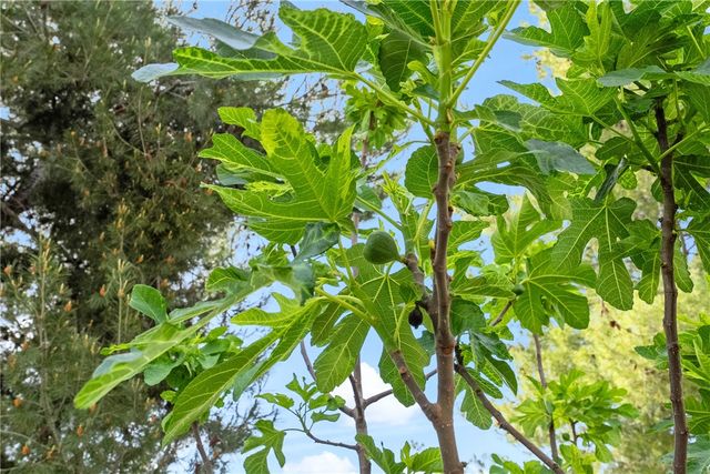 29268 Meandering, Menifee, CA 92584