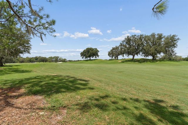 17714 GREY EAGLE ROAD, Tampa, FL 33647