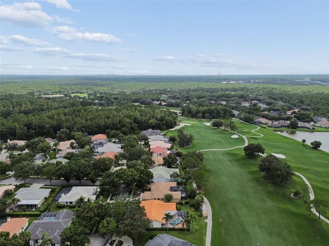 17714 GREY EAGLE ROAD, Tampa, FL 33647