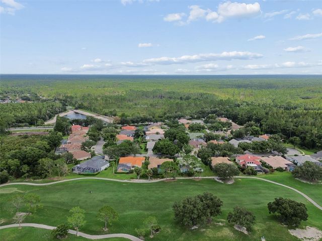 17714 GREY EAGLE ROAD, Tampa, FL 33647