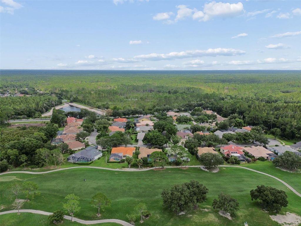 Image 63 of property listing at 17714 GREY EAGLE ROAD, Tampa, FL 33647