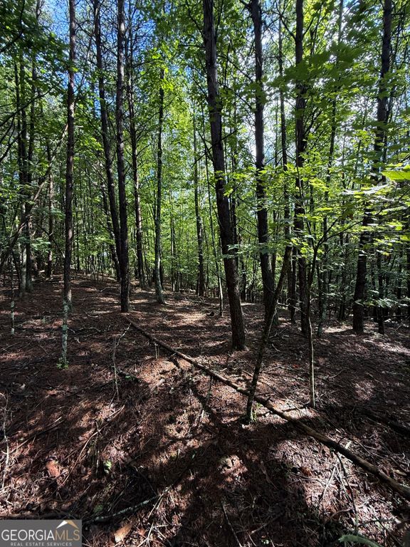 LOT 5 Marci Lane, Sautee Nacoochee, GA 30571