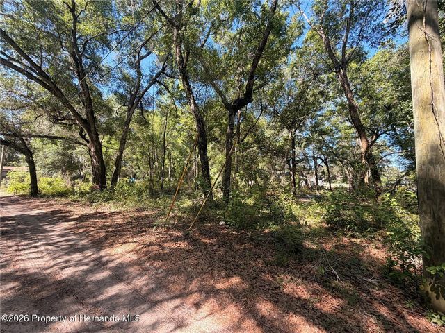 10185 Creekfield Road, Spring Hill, FL 34613