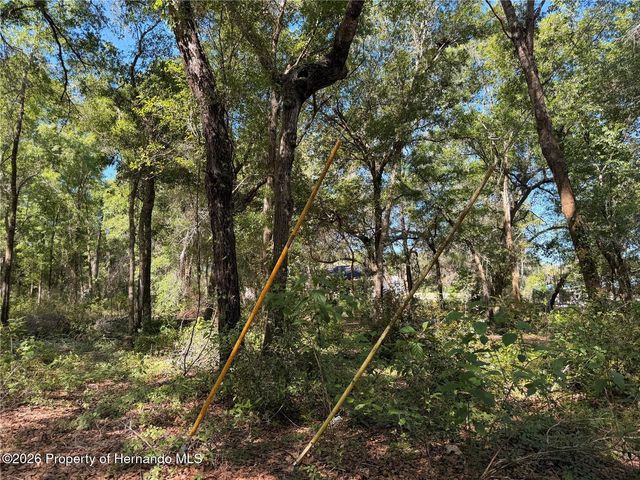 10185 Creekfield Road, Spring Hill, FL 34613