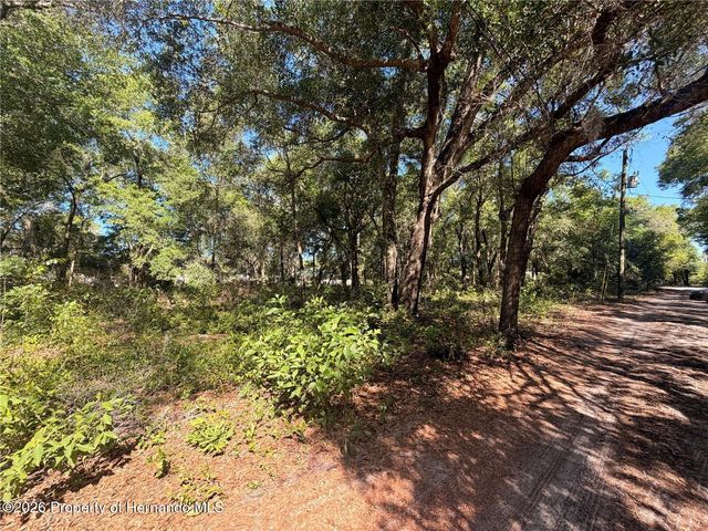 10185 Creekfield Road, Spring Hill, FL 34613