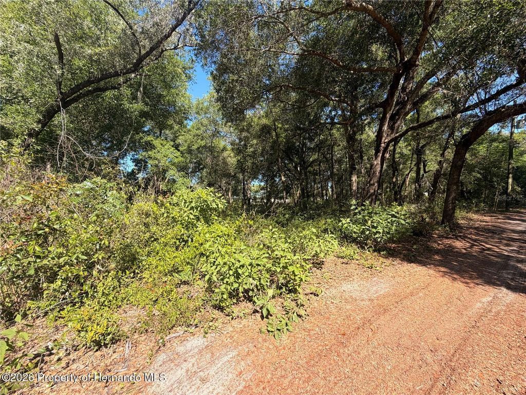 10185 Creekfield Road, Spring Hill, FL 34613