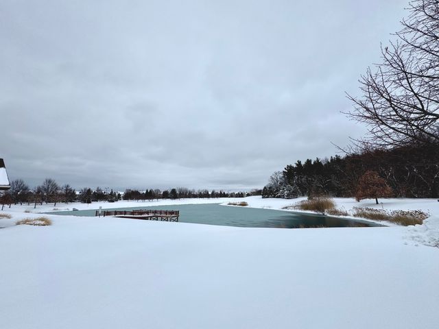 9177 Ritz Court, Huntley, IL 60142