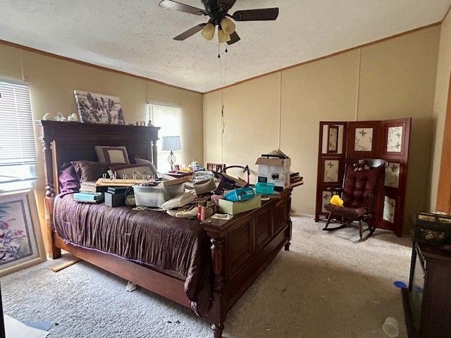 407 S Herman Street, Mexia, TX 76667