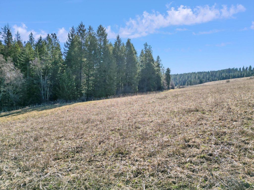 000 Skok Rd, Chewelah, WA 99109 photo 27