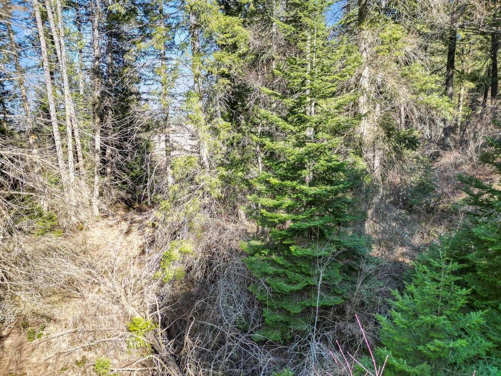 000 Skok Rd, Chewelah, WA 99109 photo 30