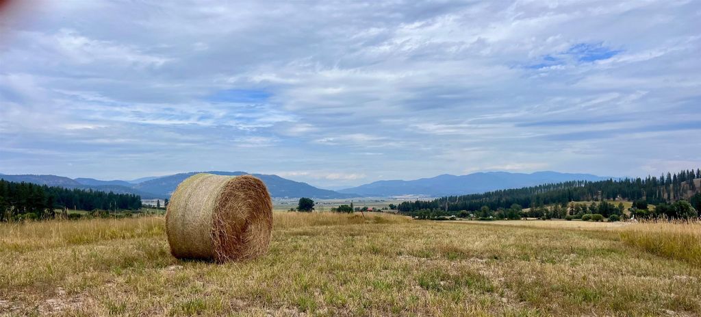 000 Skok Rd, Chewelah, WA 99109 photo 6