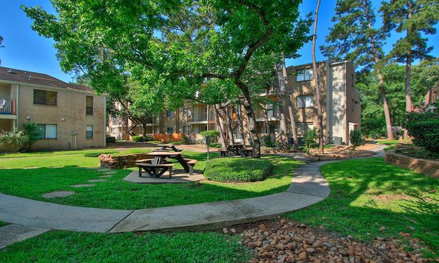 3500 Tangle Brush Drive 138, The Woodlands, TX 77381