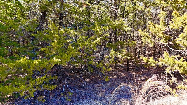 TBD County Road 106, Whitesboro, TX 76273