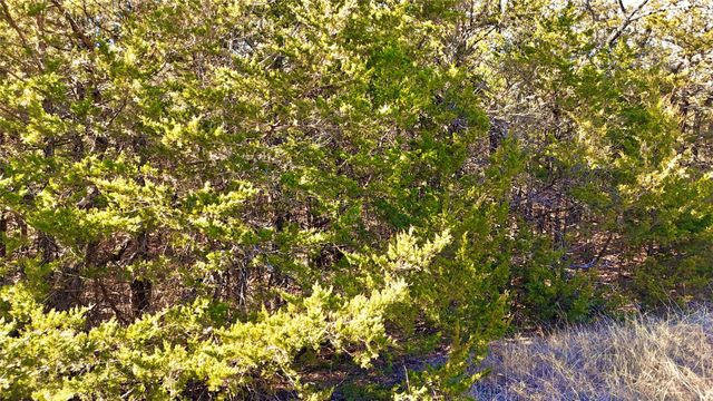 TBD County Road 106, Whitesboro, TX 76273