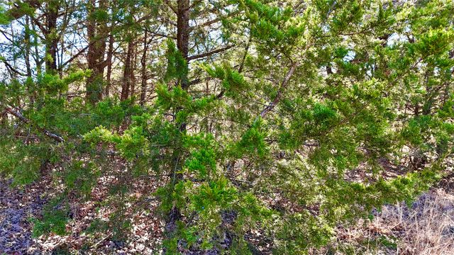TBD County Road 106, Whitesboro, TX 76273
