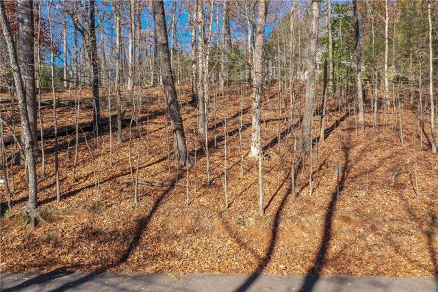 3442 Jet Wright Road, Gainesville, GA 30506