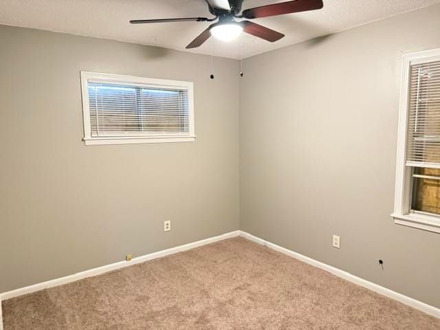 3815 TESSLAND RD, Memphis, TN 38128