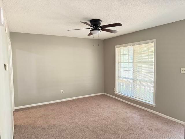 3815 TESSLAND RD, Memphis, TN 38128