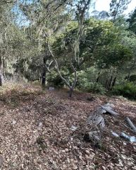 2812 Ramsey, Cambria, CA 93428