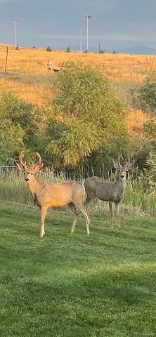 102 Canongate Lane, Highlands Ranch, CO 80130