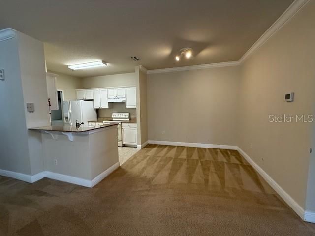330 SOUTHERN PECAN CIRCLE 204, Winter Garden, FL 34787