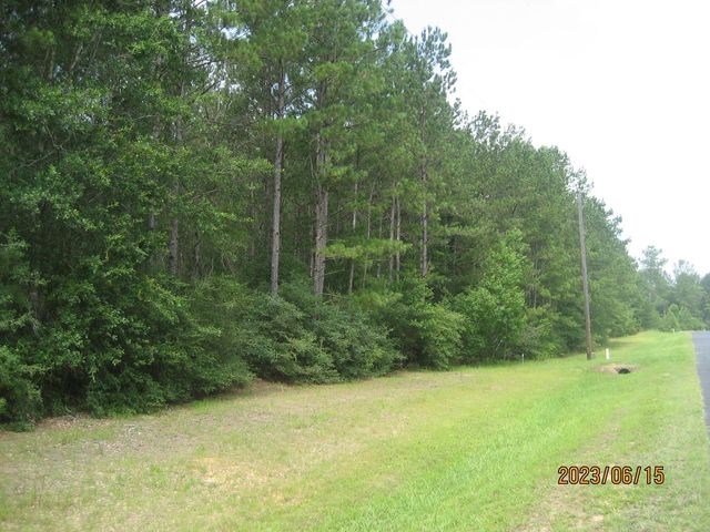 30081 Round Up Drive, Waller, TX 77484
