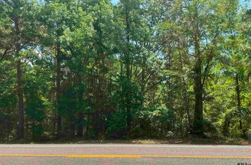 TBD E FM 852, Winnsboro, TX 75494