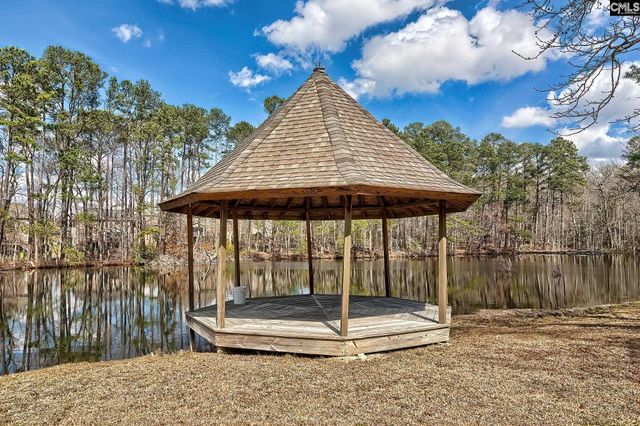 240 Turkey Farm Road, Blythewood, SC 29016