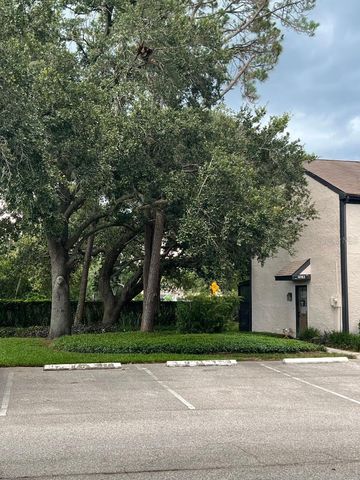 16596 BRIGADOON DRIVE, Tampa, FL 33618