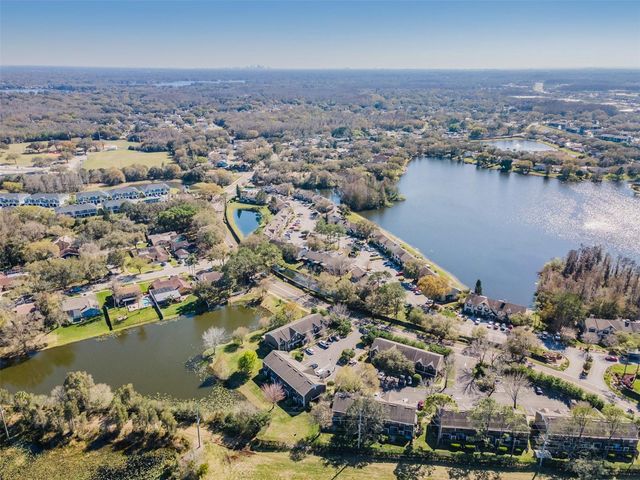 16596 BRIGADOON DRIVE, Tampa, FL 33618