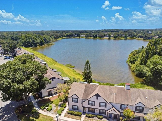 16596 BRIGADOON DRIVE, Tampa, FL 33618