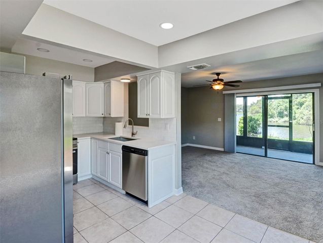 16596 BRIGADOON DRIVE, Tampa, FL 33618