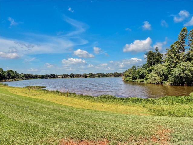 16596 BRIGADOON DRIVE, Tampa, FL 33618