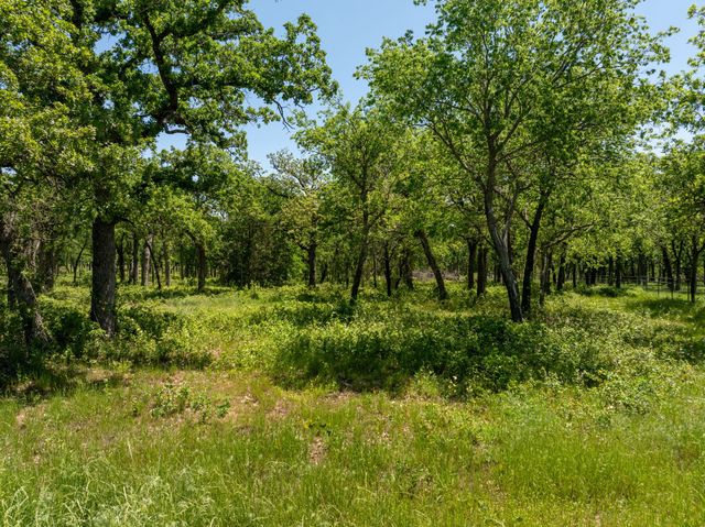 213 Quiet Cove Court, Argyle, TX 76226