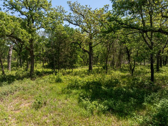 213 Quiet Cove Court, Argyle, TX 76226
