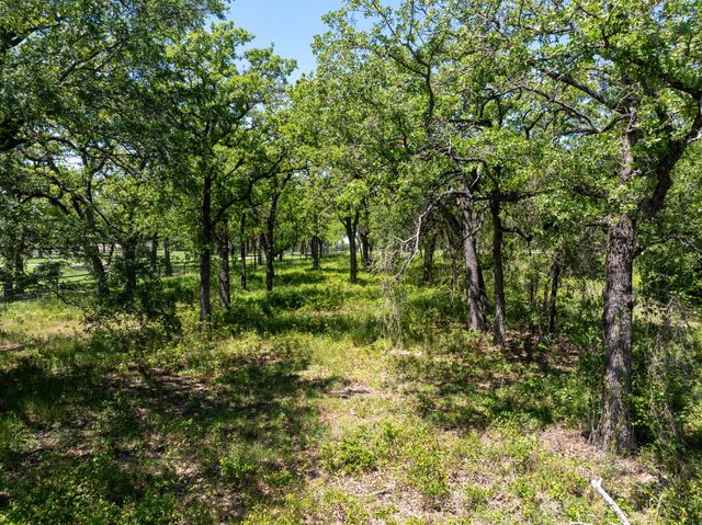 213 Quiet Cove Court, Argyle, TX 76226